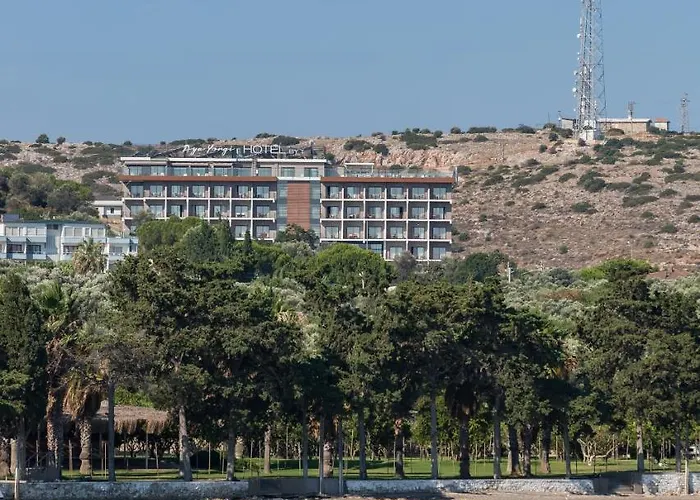 Ayayorgi By T Çeşme